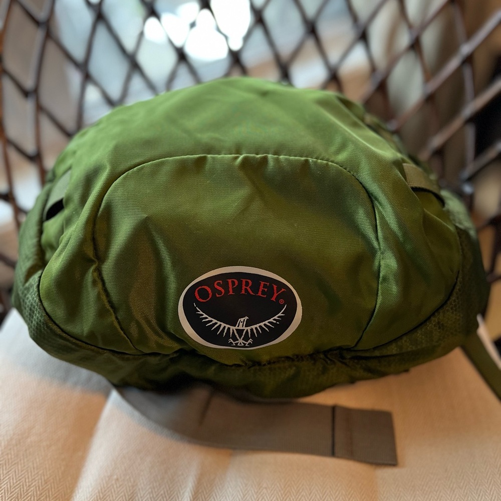 Osprey Olive Green Daypack